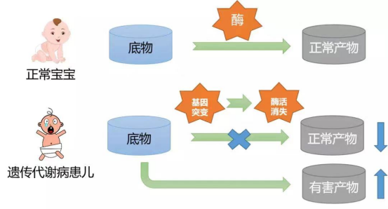 新生儿遗传代谢病筛查小知识 姜伟2022.5.5176.png