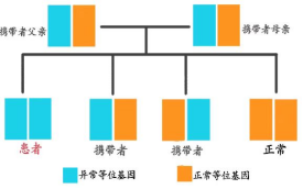 常染色体遗传病作者：朱佩7.7945.png