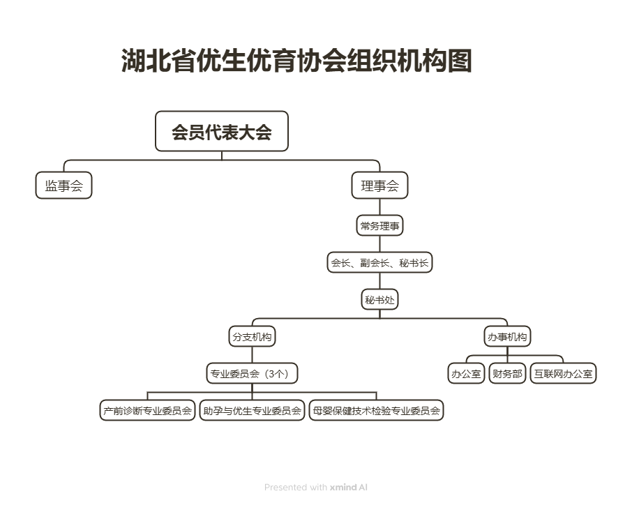 湖北省优生优育协会 组织架构图2025.4.3.png